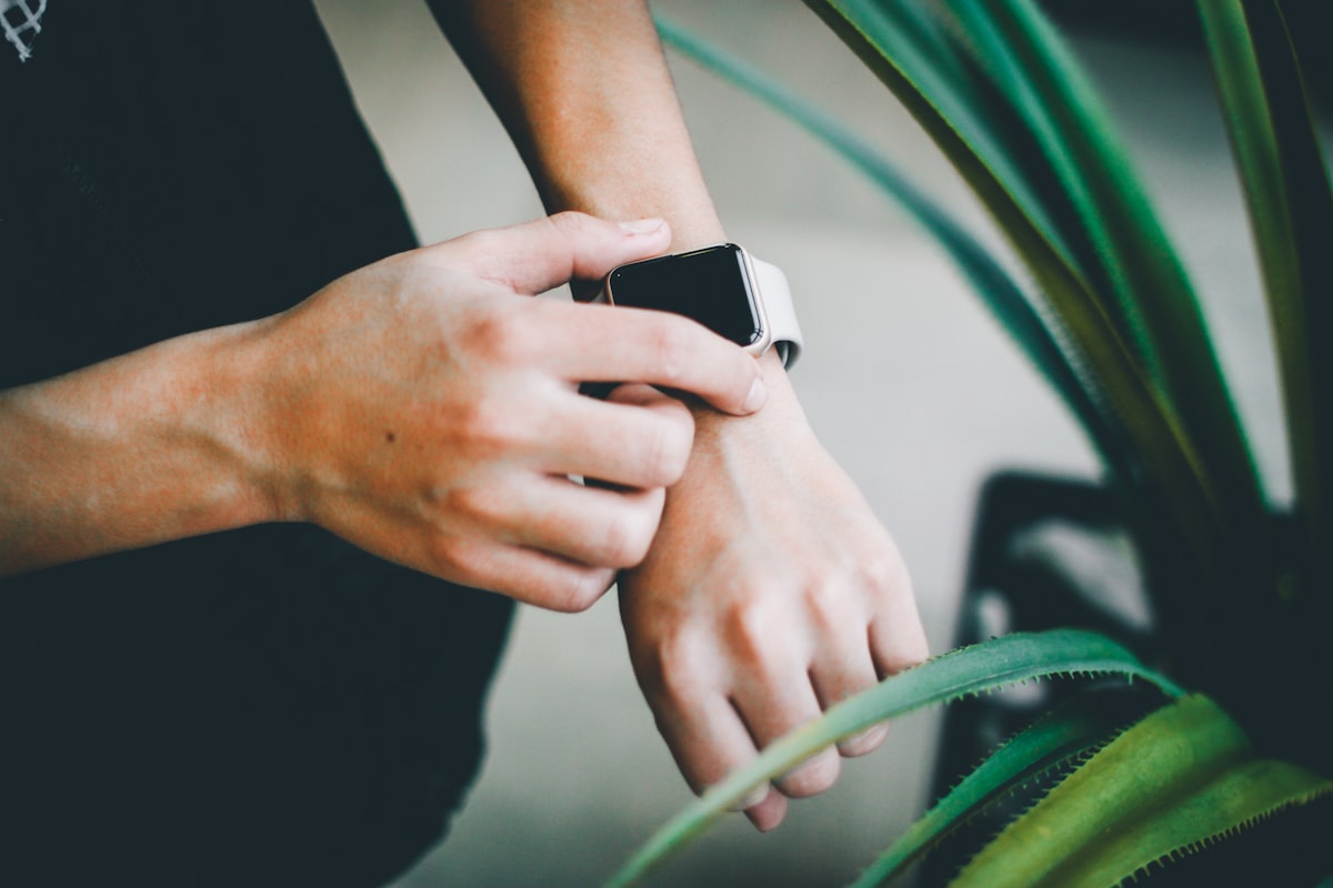 Chůze a venkovní aktivity – příroda pro wellness